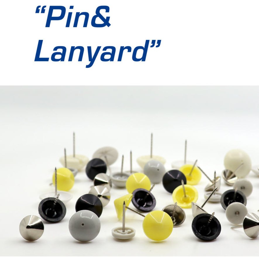 Pines y Lanyard antihurto
